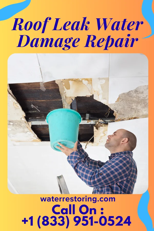 Roof Leak Water Damage Repair in Rockford, IL